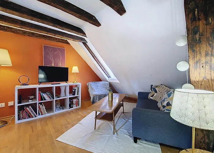 Tonneau - Hypercentre - Cathedrale - Authentique - Duplex Strazburg