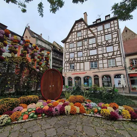 Tonneau - Hypercentre - Cathedrale - Authentique - Duplex アパート ストラスブール